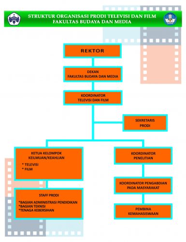 Struktur Organisasi Prodi Televisi dan Film
